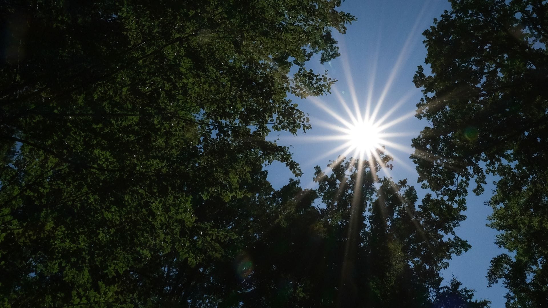 Am Wochenende kommt im Südwesten häufig die Sonne raus.