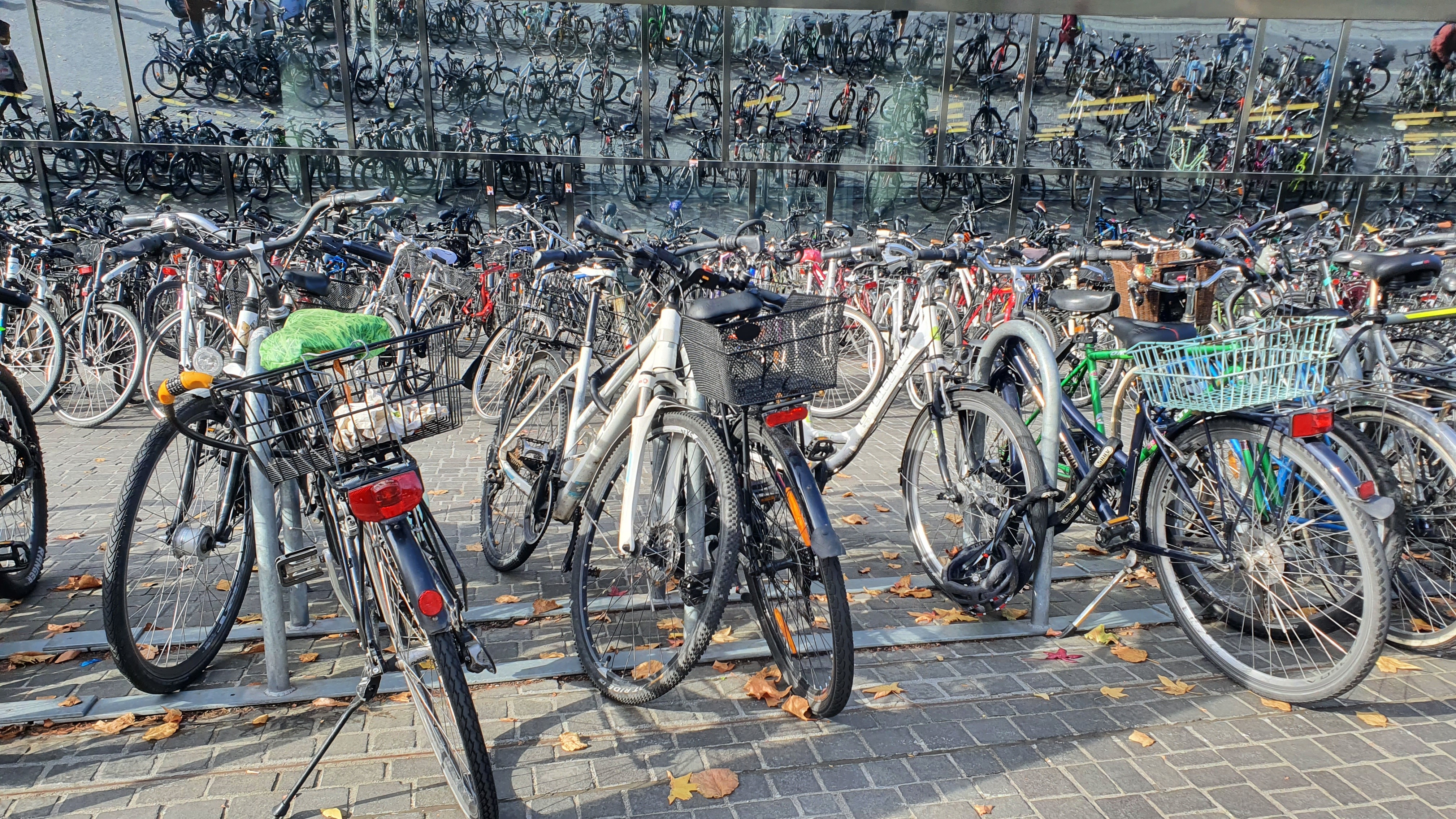 Fahrräder ohne Ende.
