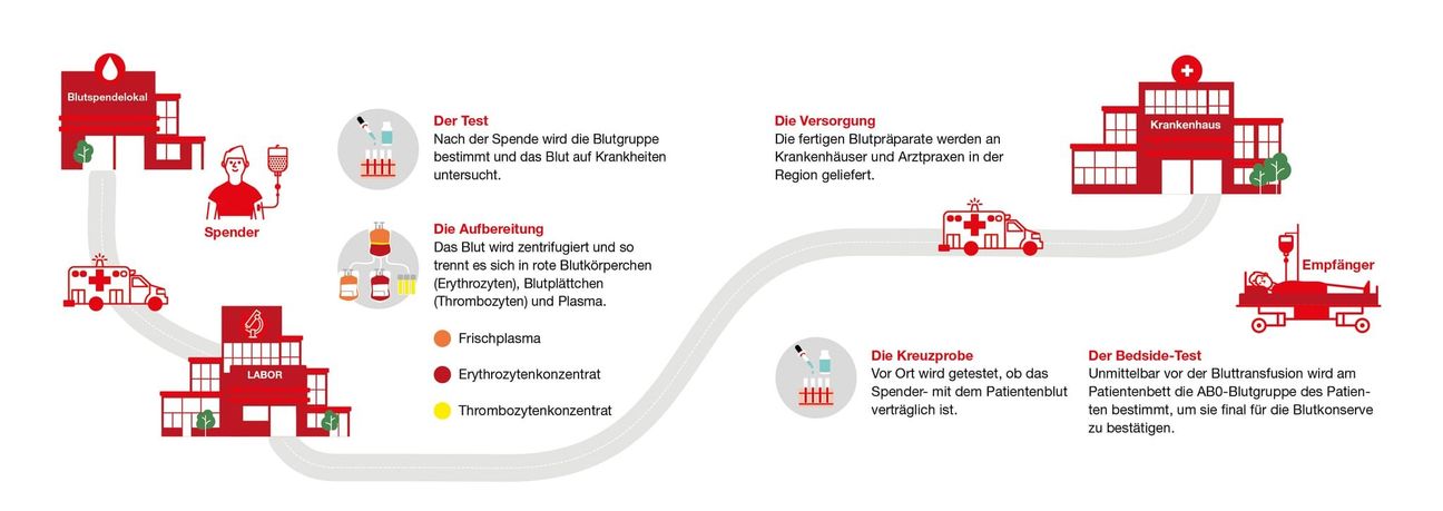 Was passiert nach der Spende? Die Grafik zeigt den Weg des Blutes – von der Entnahme über die Verarbeitung und Testung bis hin zur lebensrettenden Transfusion im Krankenhaus.