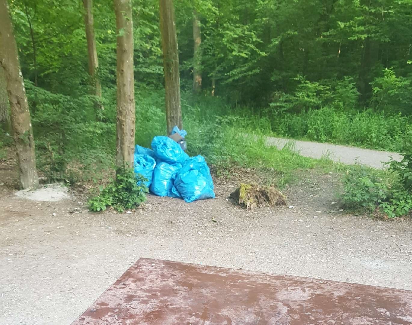 Stapelweise Müllsäcke im Eichholzer Täle: SZ/BZ-Leser Jürgen Dörflinger findet es bedenklich, dass die Müllsünder kaum Strafen fürchten müssen.