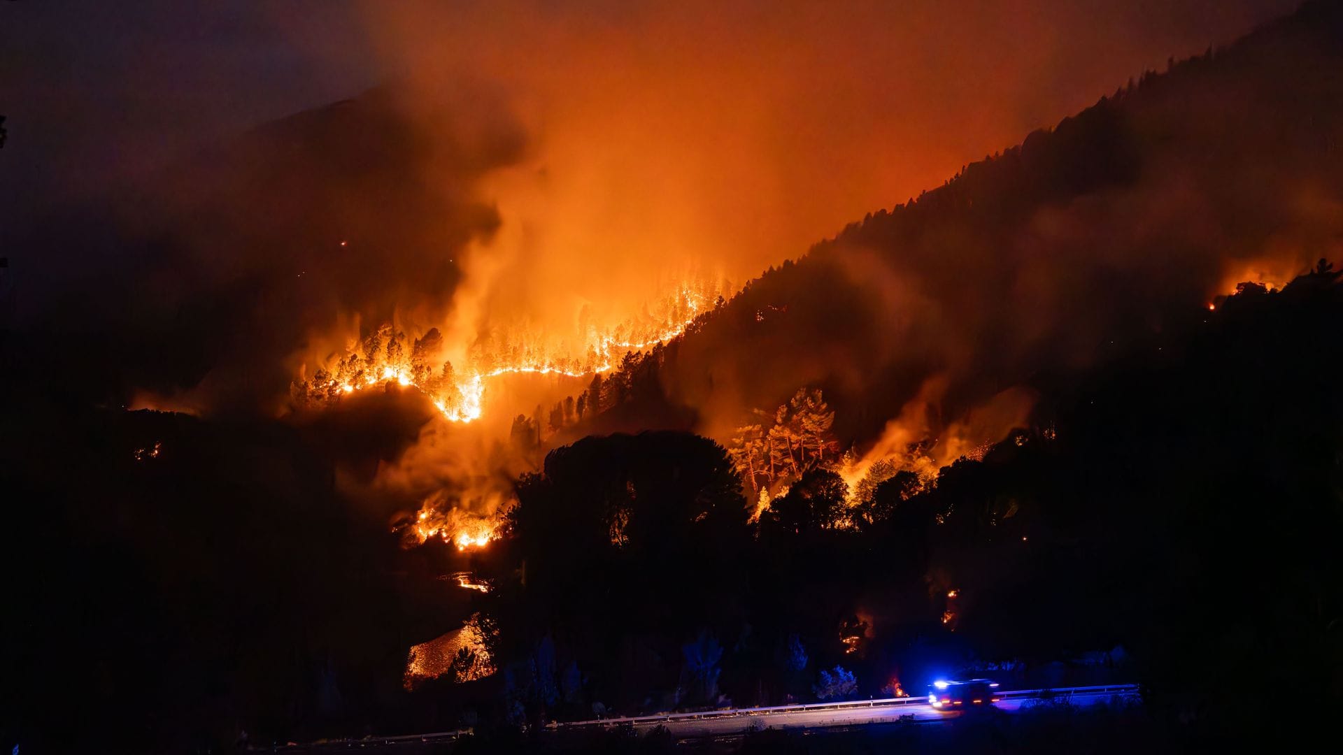 Spanien, Lugo: Flammen verwüsten große Teile des Waldes bei Turbeo. Die Brände wüten seit zwei Wochen in der Region Galicien.