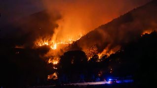 Spanien, Lugo: Flammen verwüsten große Teile des Waldes bei Turbeo. Die Brände wüten seit zwei Wochen in der Region Galicien.