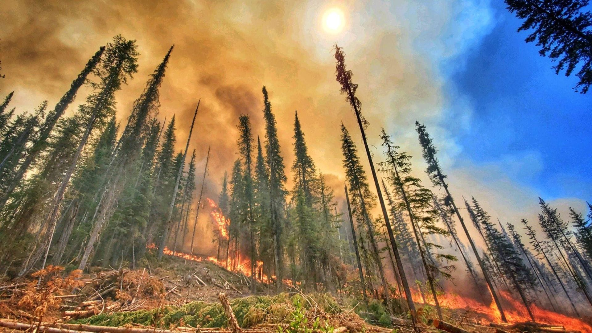 Waldbrände wie hier im US-Bundesstaat Washington im Jahr 2022 sind nur eine von vielen Ursachen, die zu den Rekordemissionen an Treibhausgasen in die Atmosphäre beitragen.