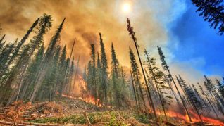 Waldbrände wie hier im US-Bundesstaat Washington im Jahr 2022 sind nur eine von vielen Ursachen, die zu den Rekordemissionen an Treibhausgasen in die Atmosphäre beitragen.