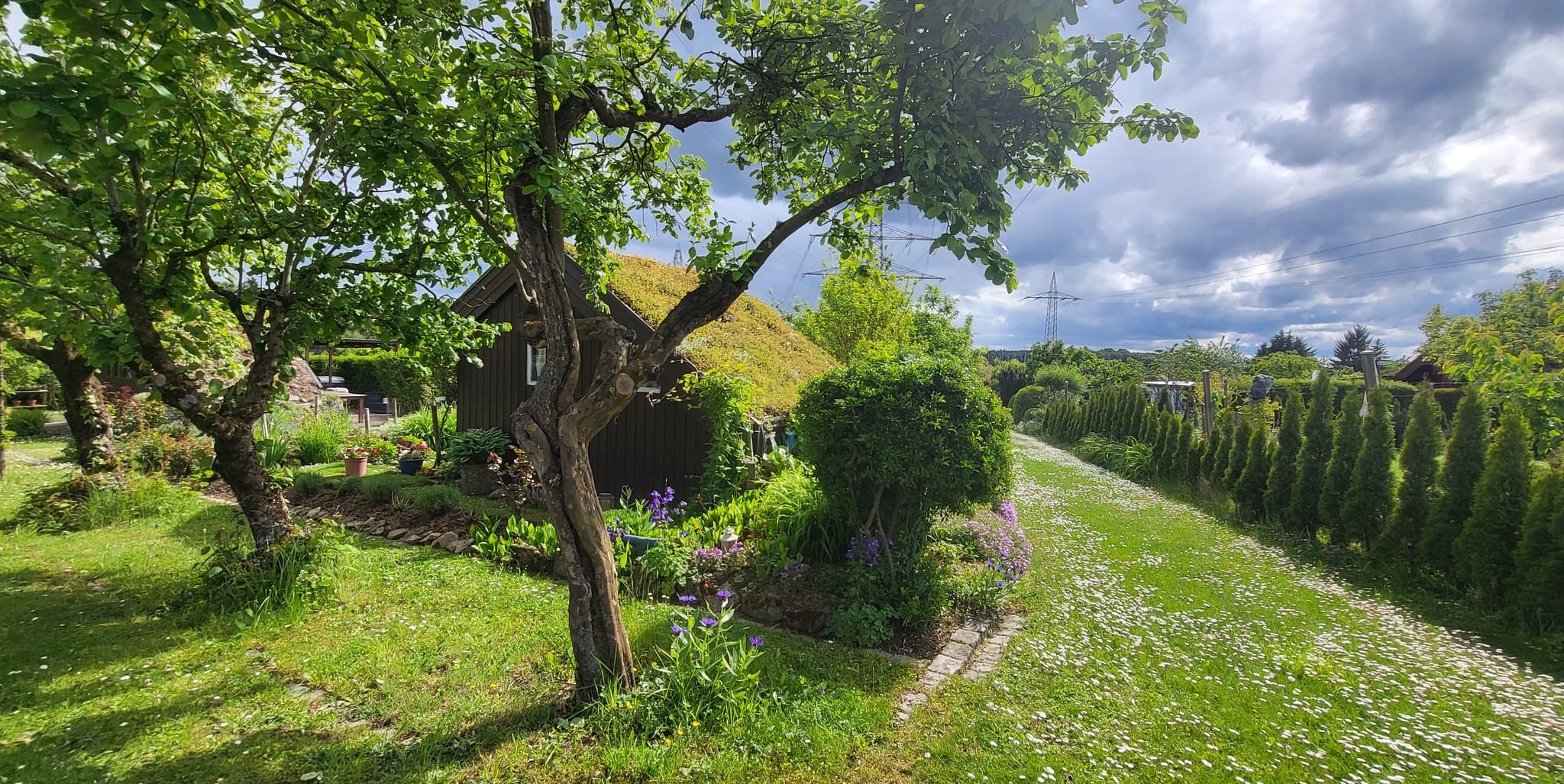 Die idyllischen Gärten zeigen die Vielfalt der rund 96 Parzellen – geprägt von unterschiedlichen Menschen, Kulturen und Herangehensweisen.