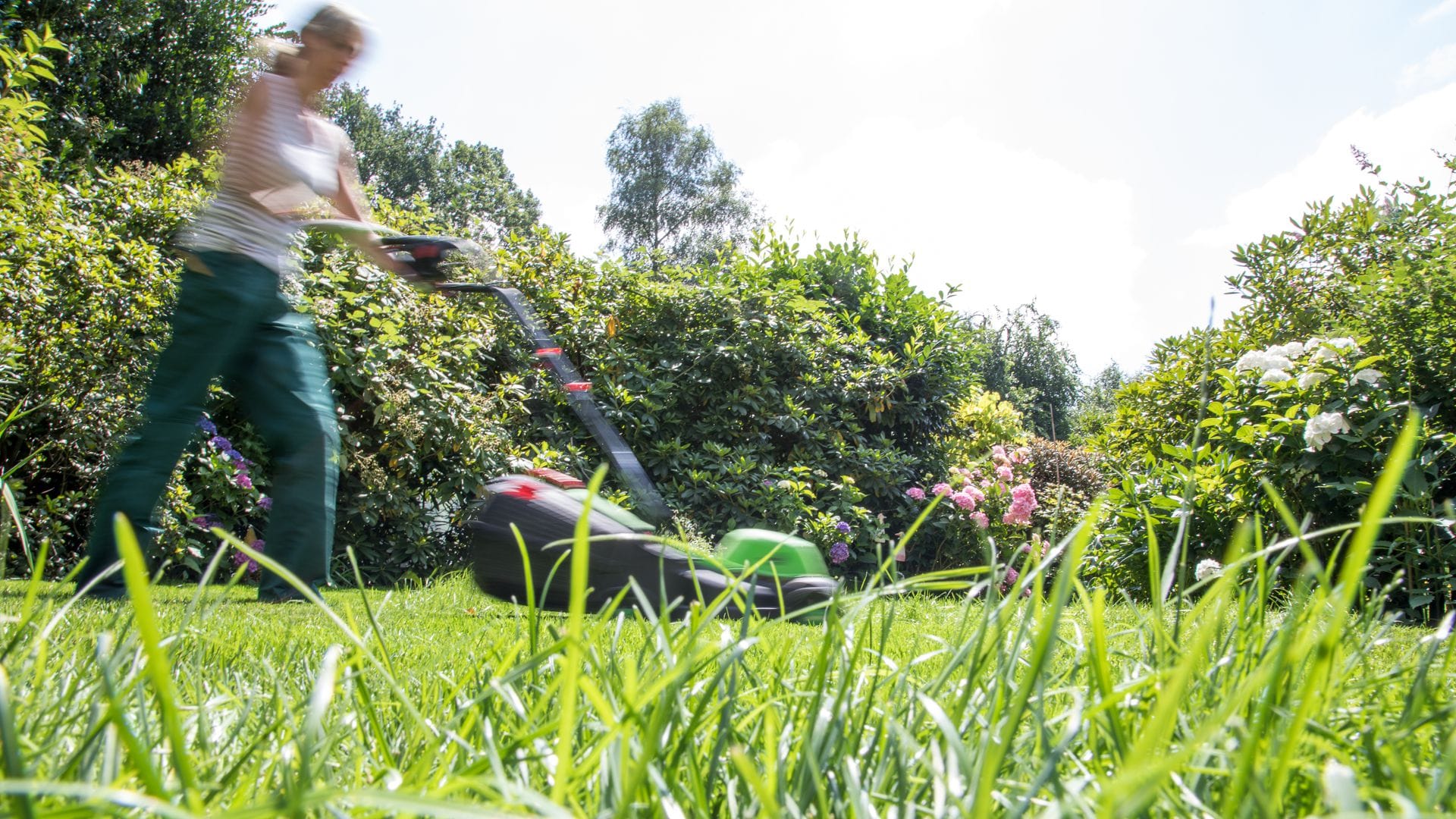 Kurz getrimmt oder dichtes Gras? Für Gartenliebhaber sowie für Tiere hat es viele Vorteile, wenn seltener gemäht wird.