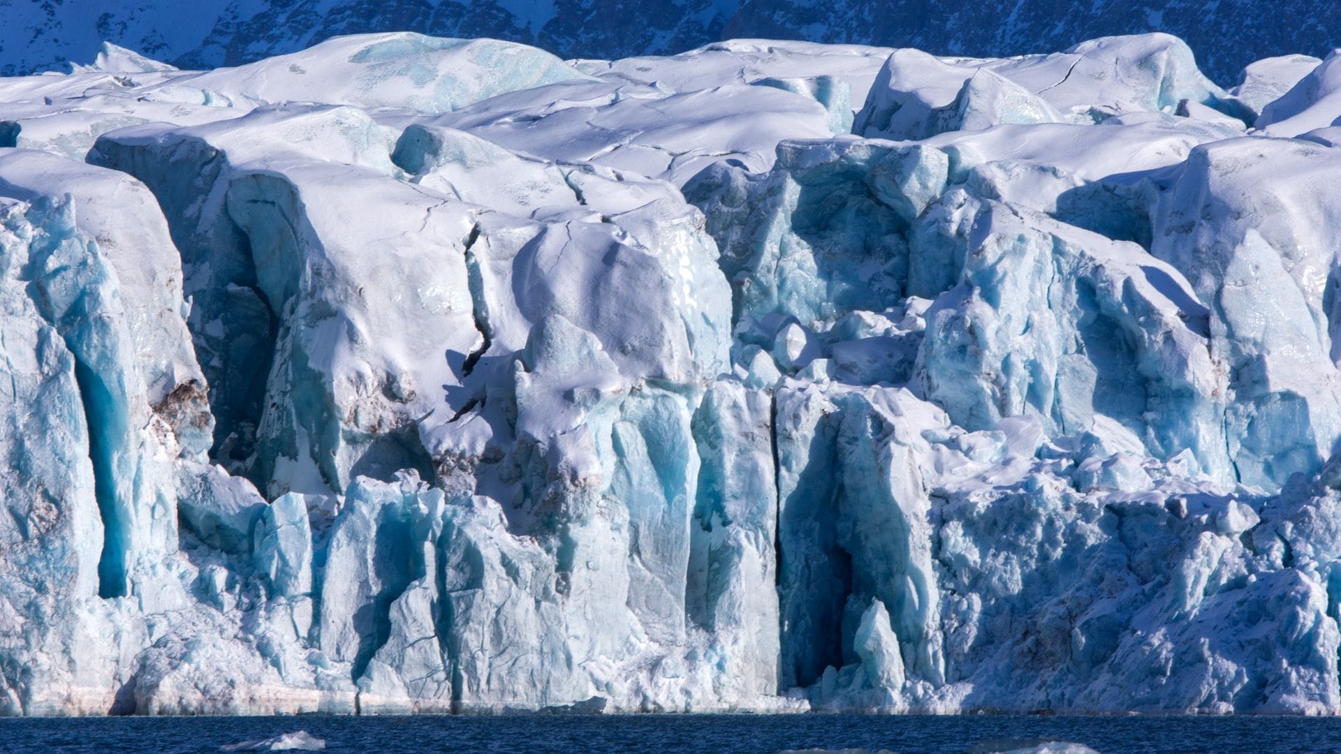 Auf Spitzbergen ist bei einem einjährigen männlichen Eisbären das Vogelgrippe-Virus nachgewiesen worden.