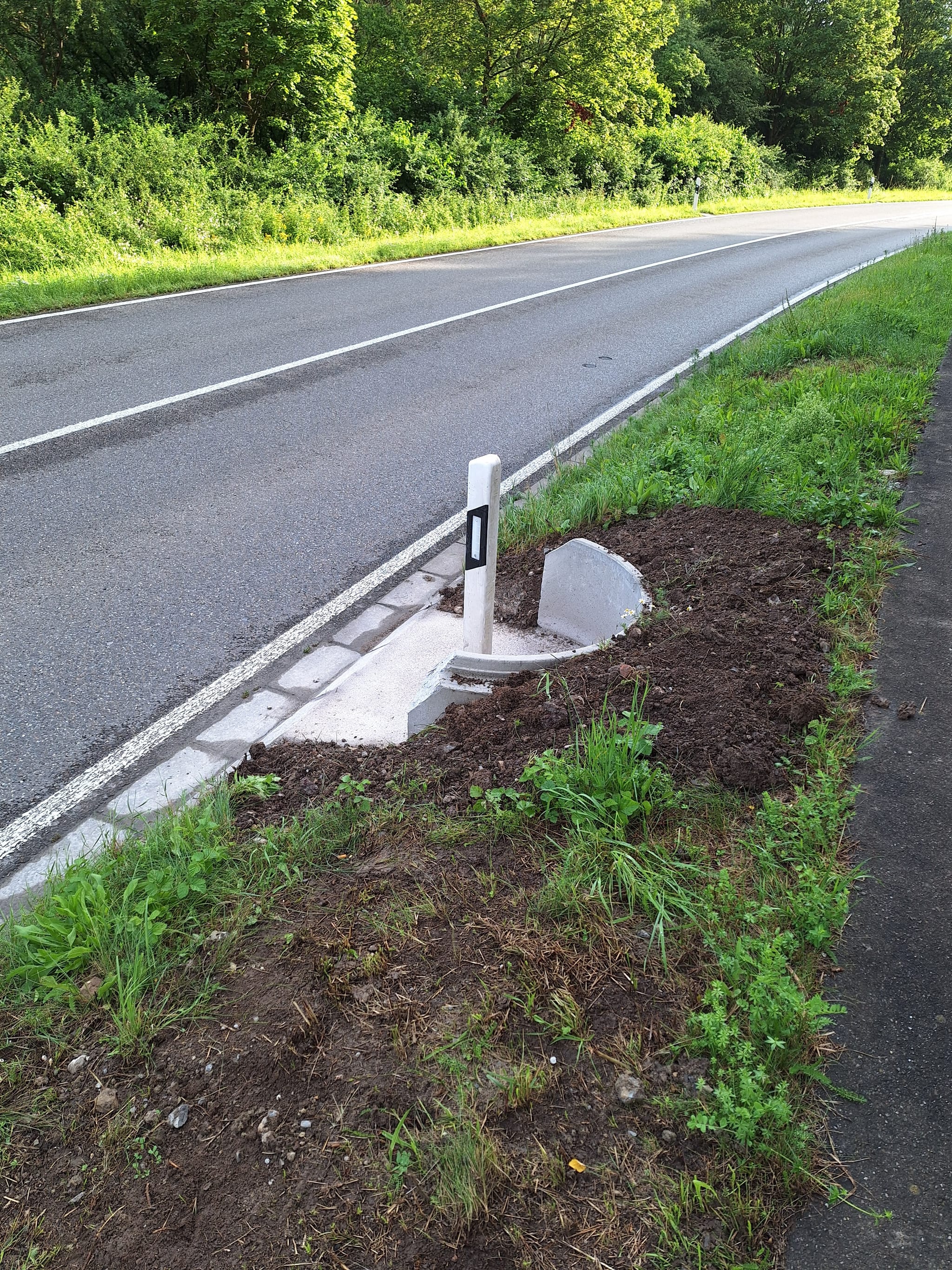 Leitpfosten mit Beton-Halbschale im Grünstreifen neben der Kreisstraße zwischen Darmsheim und Grafenau.
