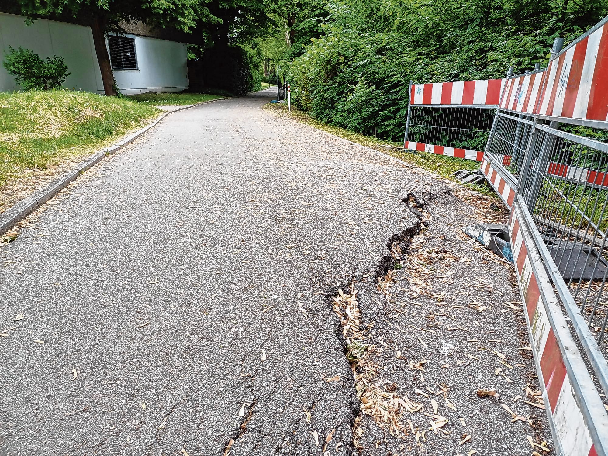 Dieser Weg an der Gottlieb-Daimler-Schule ist in einem besonders schlechten Zustand.