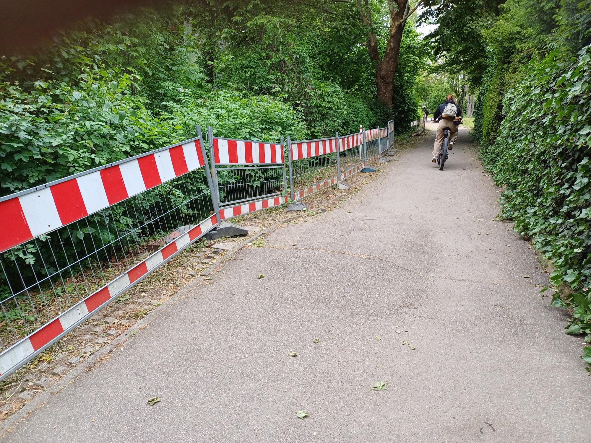 Die Strecke gleicht einer Berg- und Talbahn.