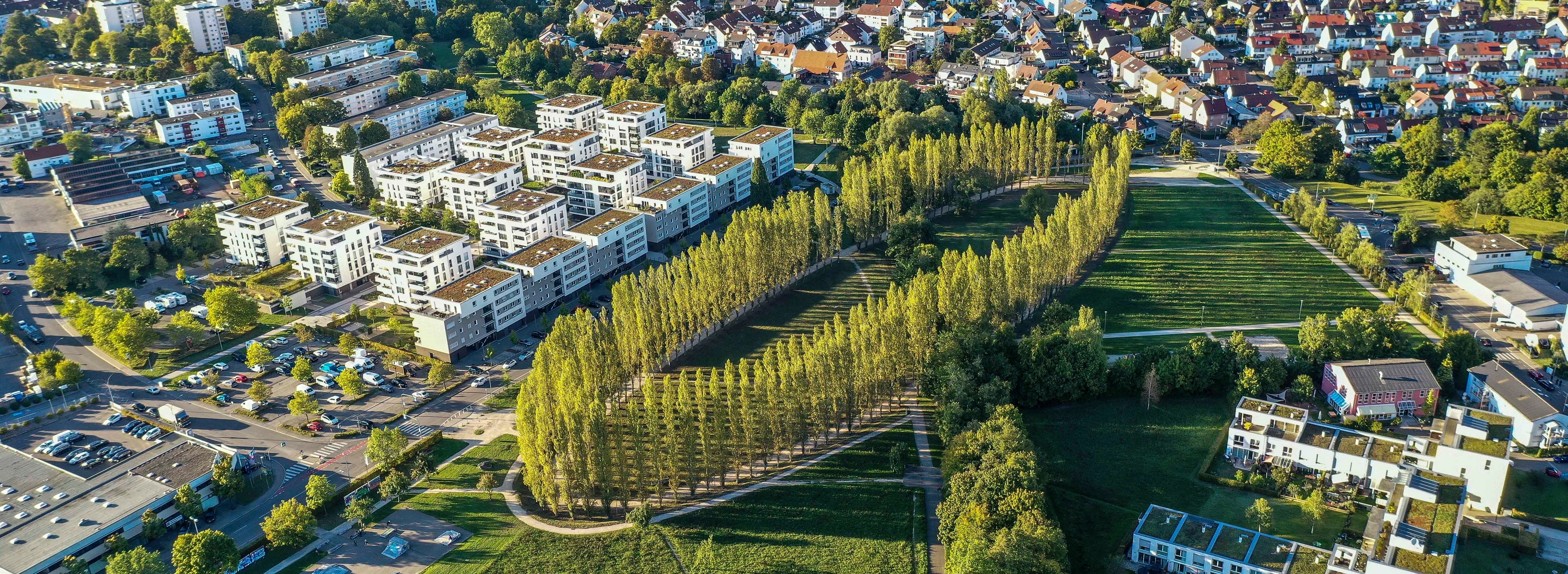 Das Baumoval in Böblingen soll eine Rundumerneuerung bekommen. Das wünschen sich viele Bürger. Die Stadt arbeitet daran. Bild: Dettenmeyer