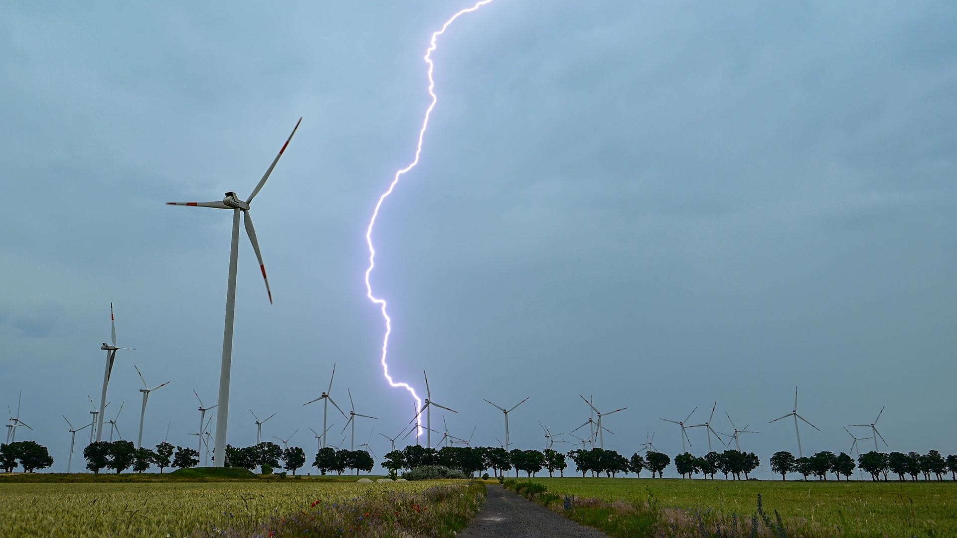 Gewitter, Stürme und Hitze zeigten am Wochenende bereits erste Spuren.