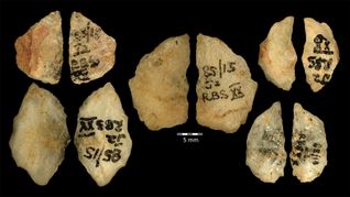 Die Vor- und Rückseiten der fünf 60.000 Jahre alten Pfeilspitzen mit dem Gift von Boophone. Sie stammen aus dem Umhlatuzana-Felsüberhang in Südafrika.
