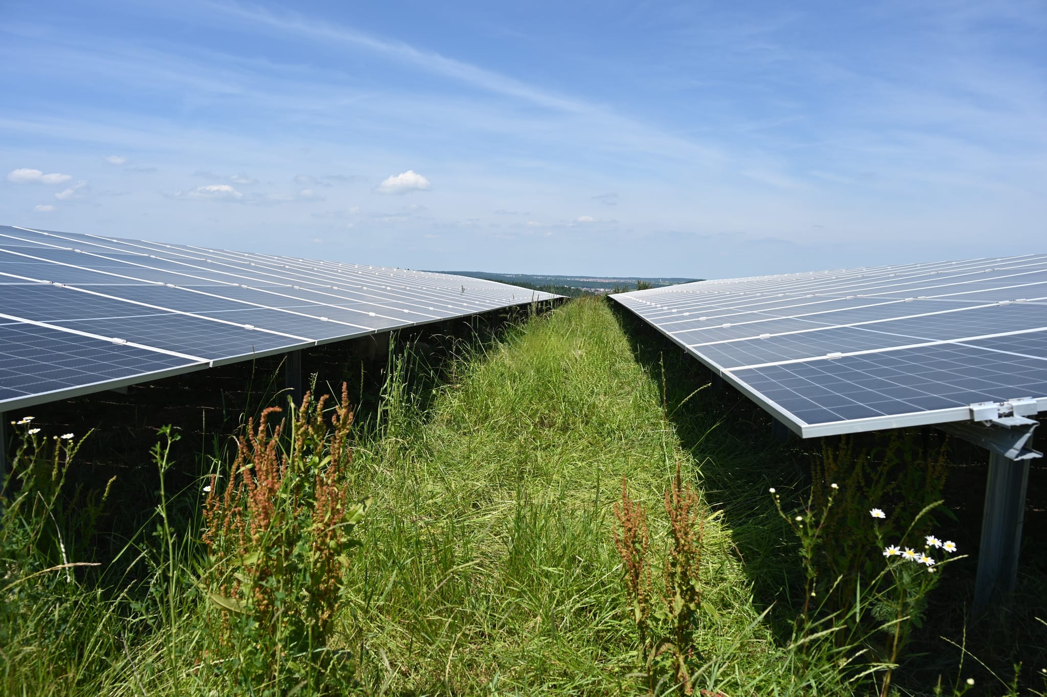 Von so großen Photovoltaikanlagen konnten die Mitglieder der nun aufgelösten Energiegenossenschaft Solar-aktives Ehningen nur träumen.    Bild: Reichert