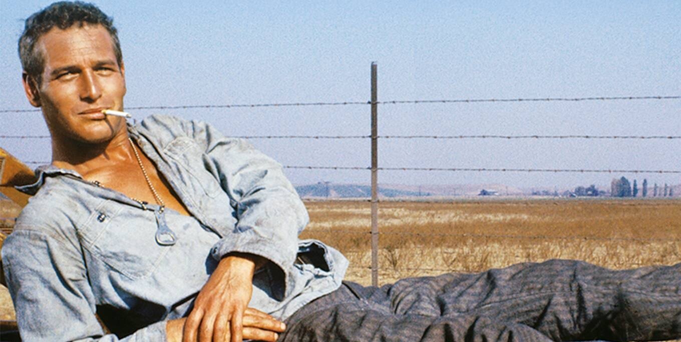 Paul Newman ist „Der Unbeugsame“ und bleibt locker.