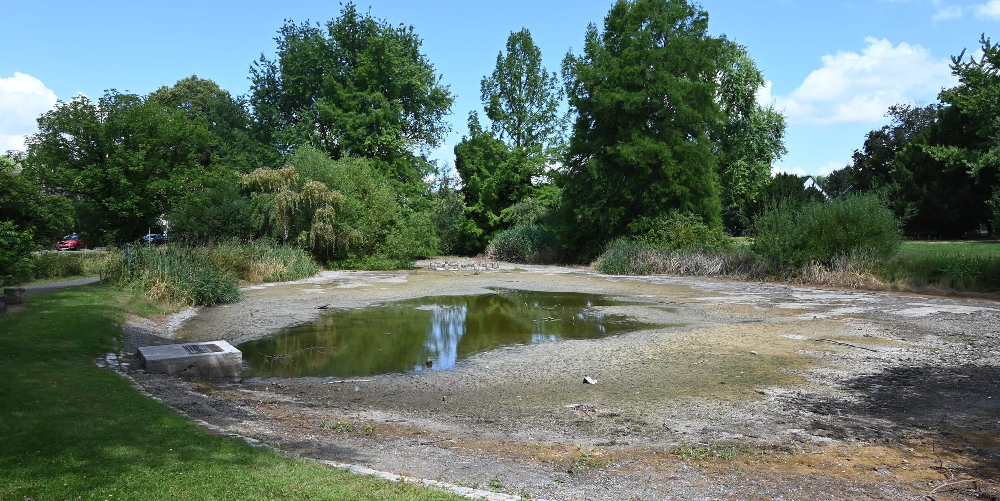 Der Teich im Dronfield Park ist aktuell nur noch eine größere Pfütze, die  auch noch unangenehm riecht. Bild: Nüßle