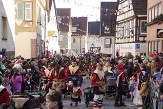 Hästräger und Zuschauer bevölkerten die Altstadt. Bilder: Dettenmeyer
