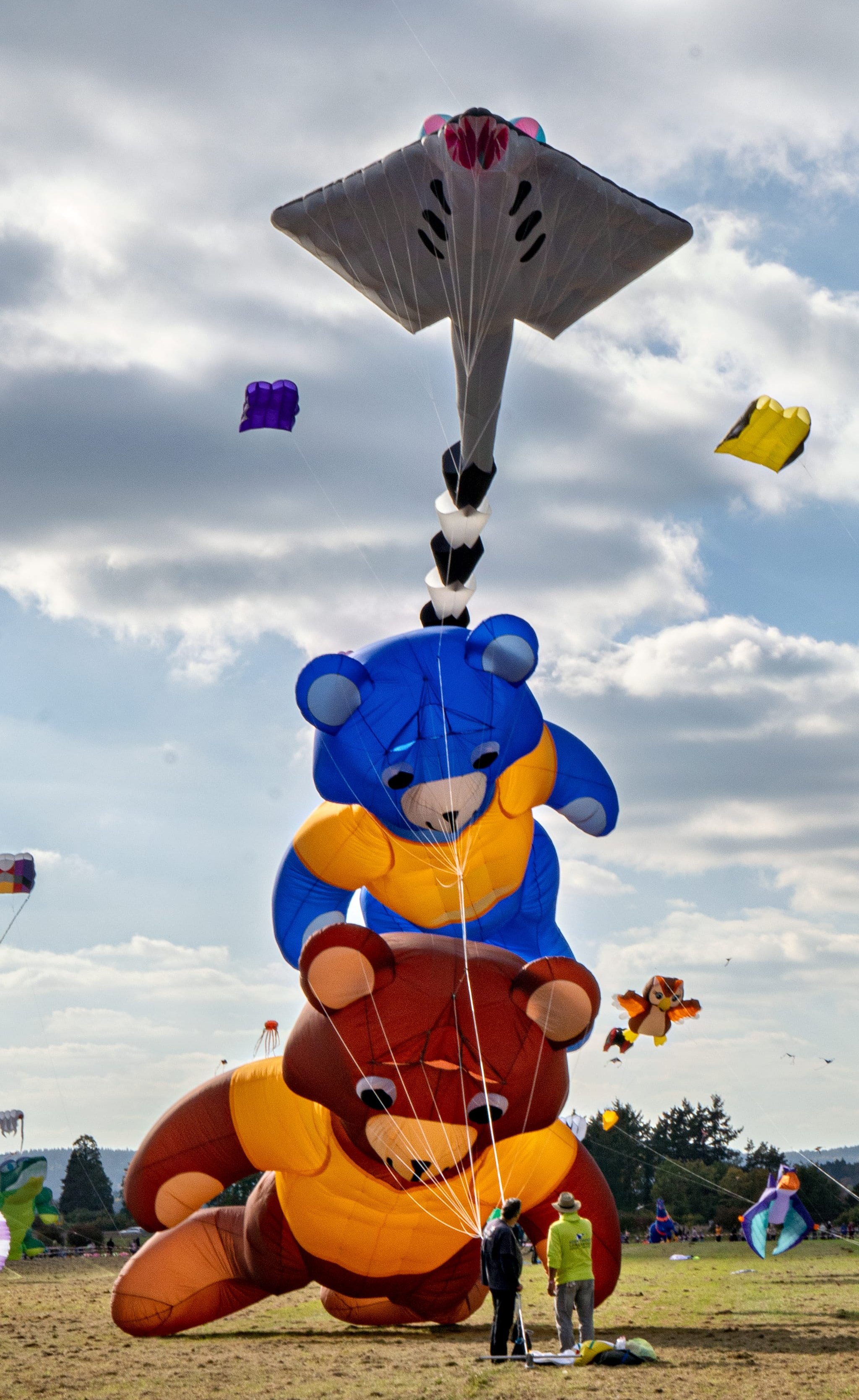 Riesige Tierfiguren gingen beim Drachenfest in Malmsheim in die Höhe.