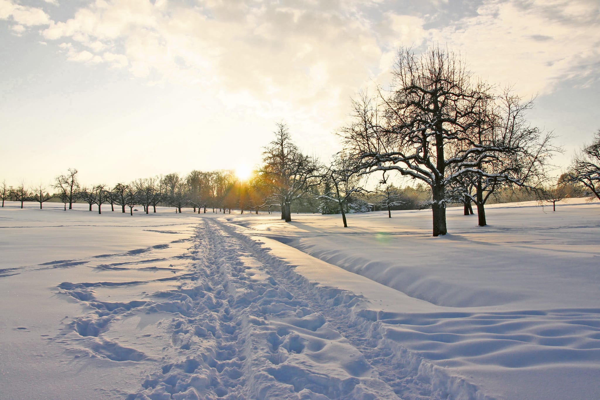Weihnachten, Schnee, Sindelfingen: Dies Kombination gab es zuletzt im Jahr 2010.