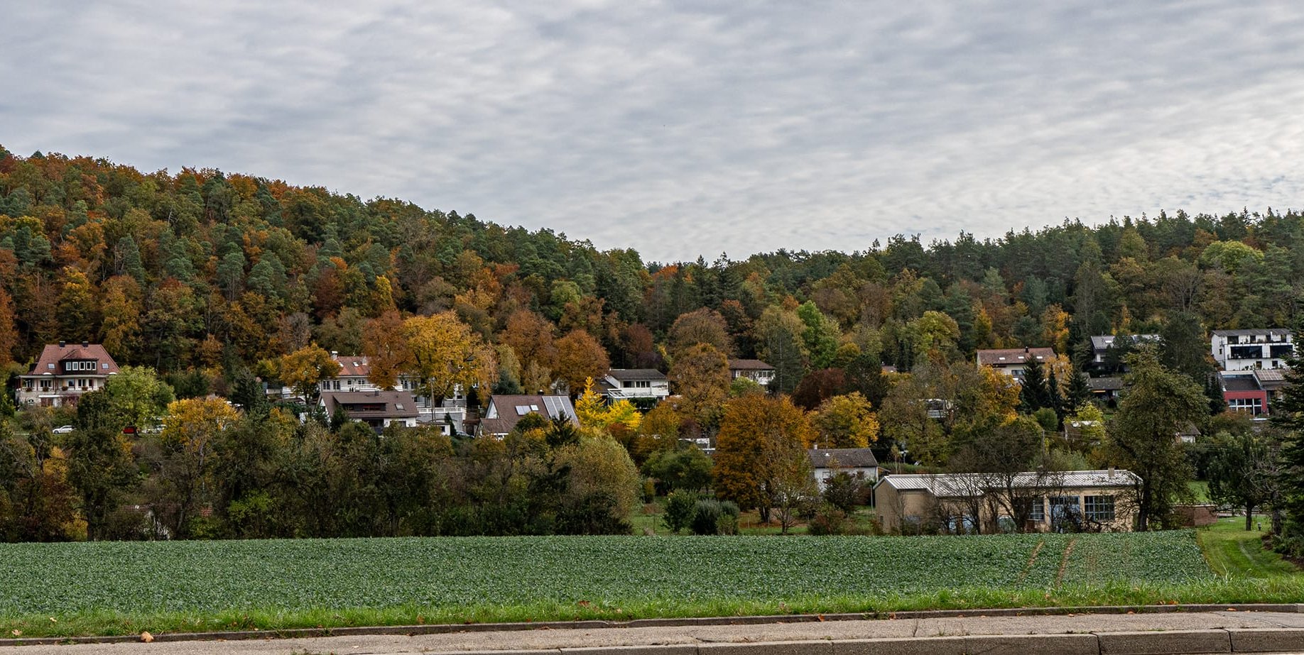 Blick auf die dicht zugewachsene Talstraße von der Kreisstraße Aidlingen-Grafenau aus.