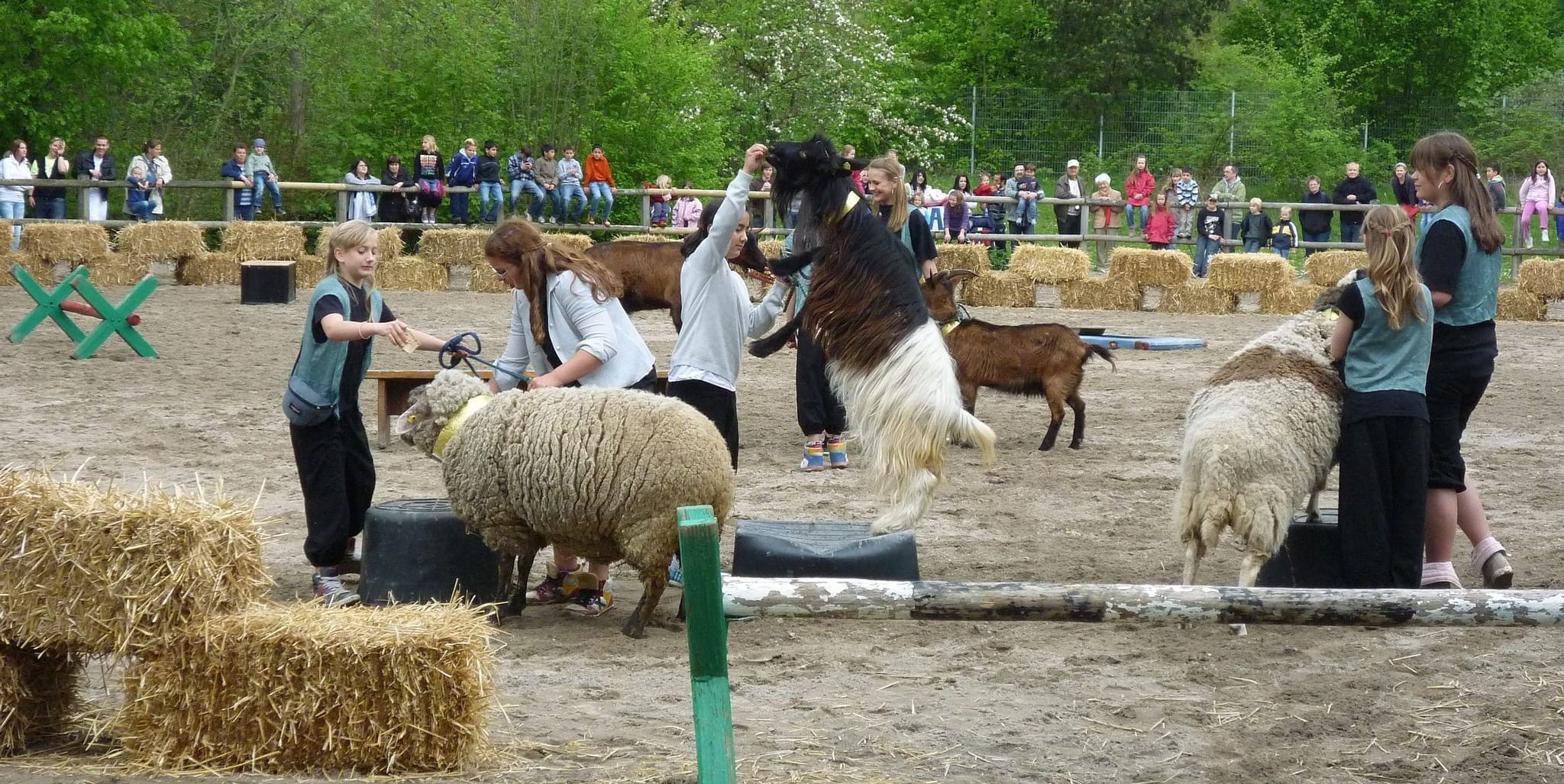 Das Archivbild zeigt eines der Fest auf der Jugendfarm.