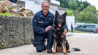 Dieser Polizeihund erschnüffelt Datenträger.
