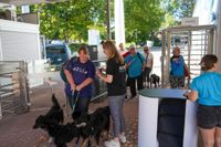 Ein Spaß für Hund und Mensch.