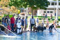 Ein Spaß für Hund und Mensch.