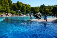 Ein Spaß für Hund und Mensch.