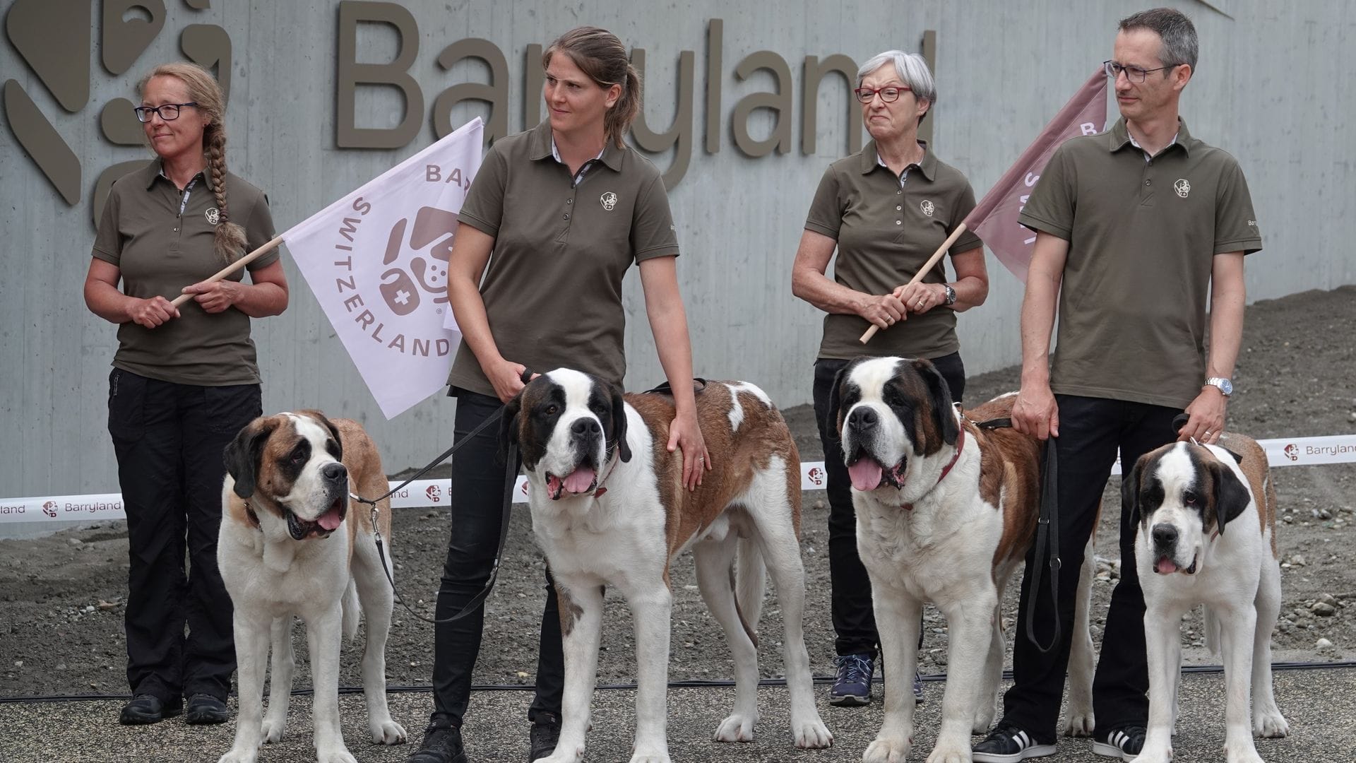Die Sache mit den Fässchen am Hals der Bernhardiner - erfunden.