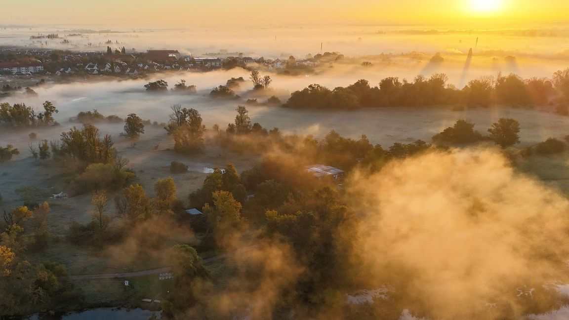 Nebel ist typisch für den Herbst. (Symbolbild)