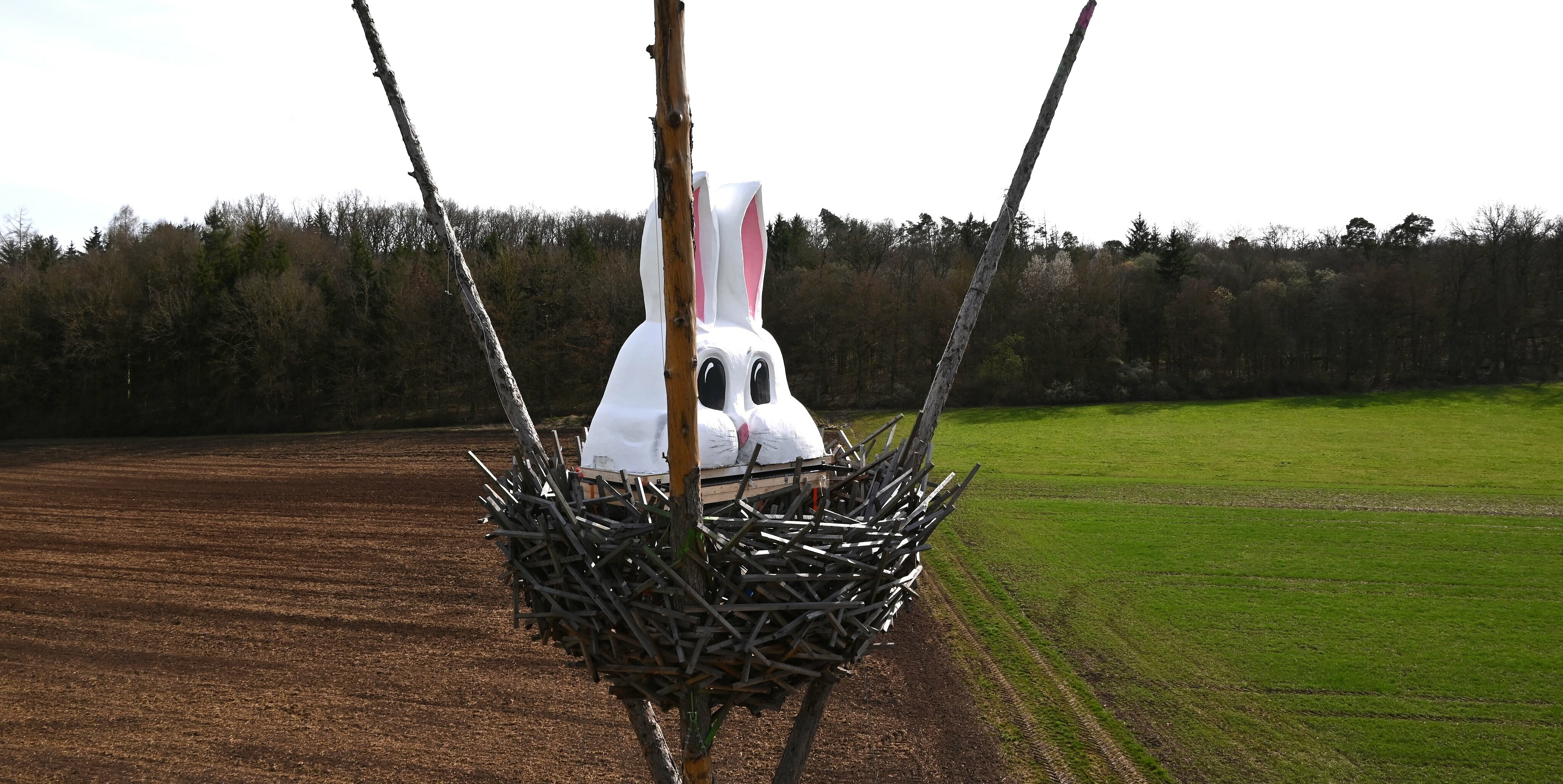 Der Hasenkopf ist vier Meter groß.