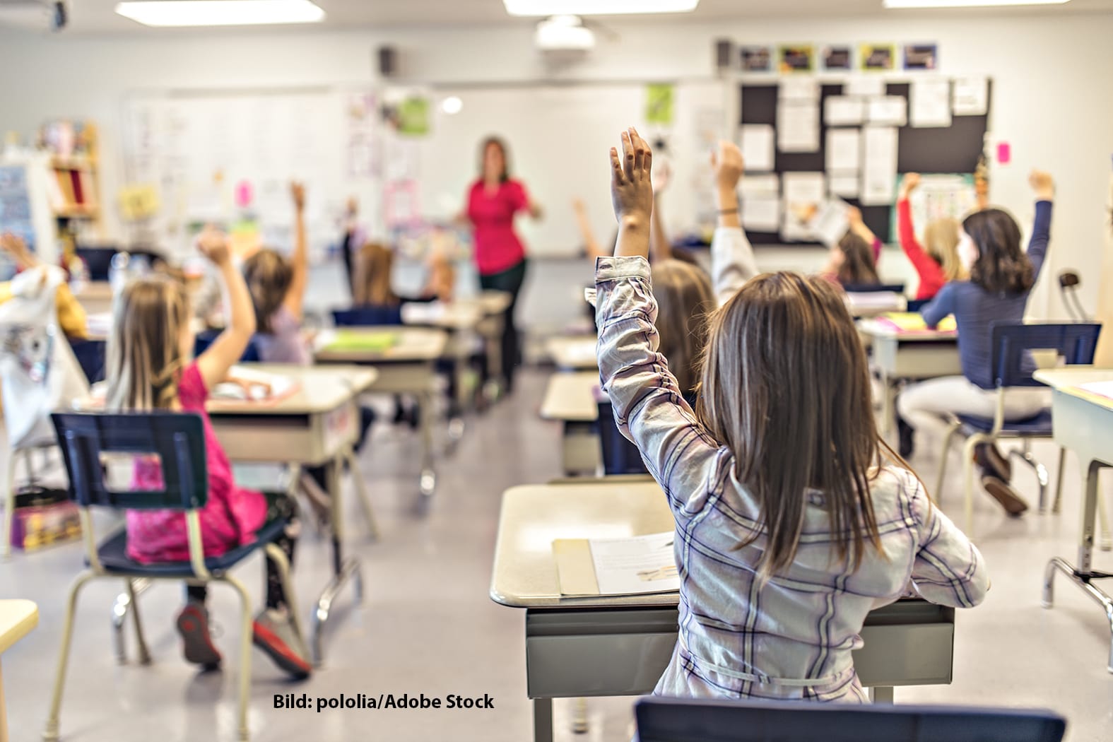 Das neue Schuljahr hat begonnen und mit ihm das Berufsleben von 91 neuen Lehrerinnen und Lehrern.