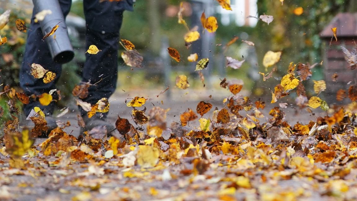 Zürich will den Einsatz nur noch von Oktober bis Dezember erlauben. (Symbolfoto)