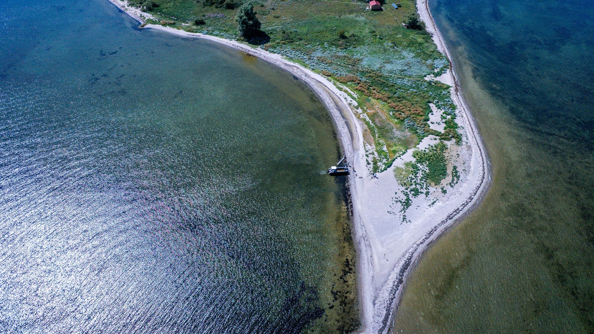 Die Insel Walfisch ist mit knapp neun Hektar die kleinste der drei Vogelschutzinseln in der Wismarbucht.