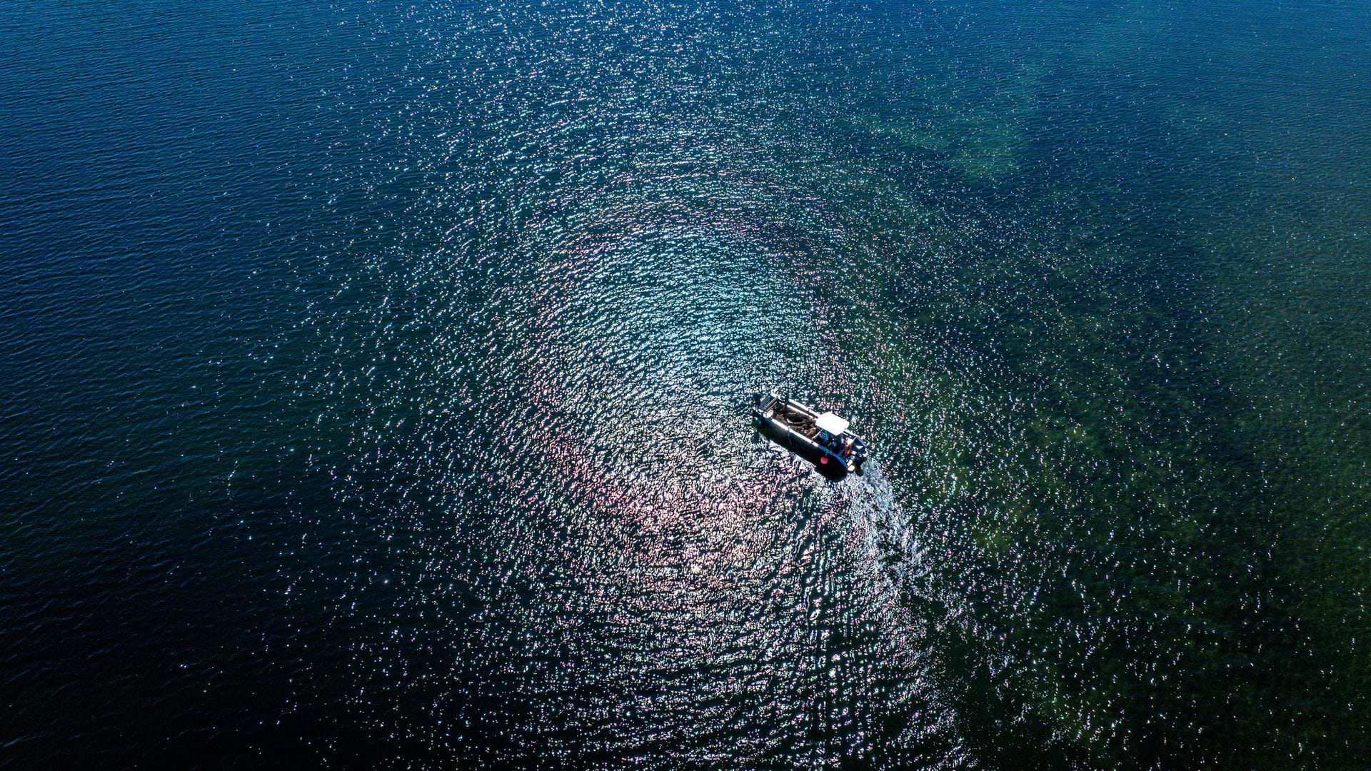 Vor der Sommerfrische auf der Insel Walfisch steht für die Ziegen die Überfahrt vom Festland per Boot.