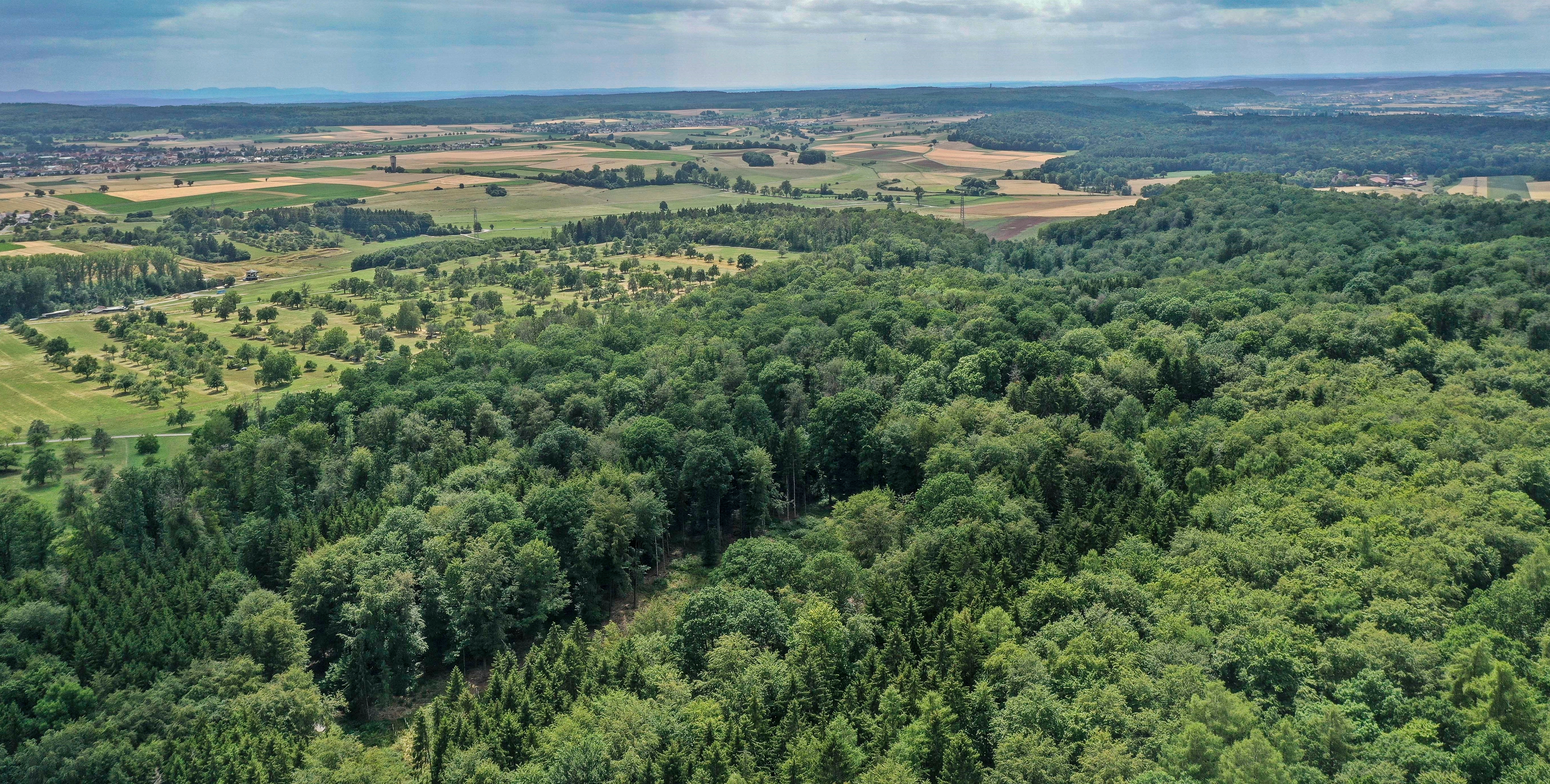 Blick in Richtung Maurener Tal über das Waldstück, das sich auf Böblinger, Holzgerlinger und Ehninger Gemarkung befindet und das als Potenzialfläche für den Bau von Windkraftanlangen ausgewiesen wurde. Bild: Dettenmeyer