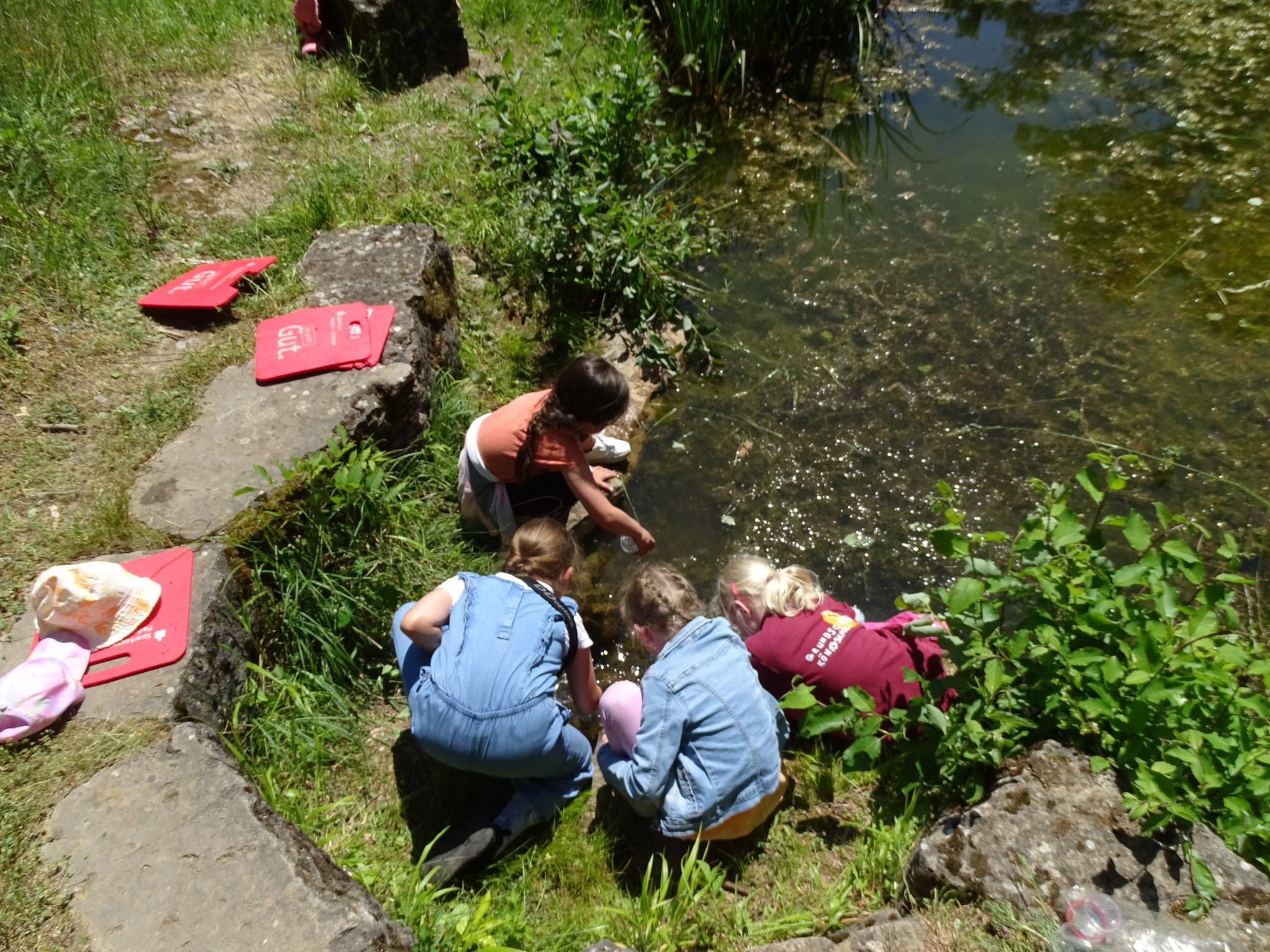 Die Kinder können am Sonntag den Teich im Sindelfinger Vogelzentrum erkunden. Der Eintritt ist frei. Bild: z