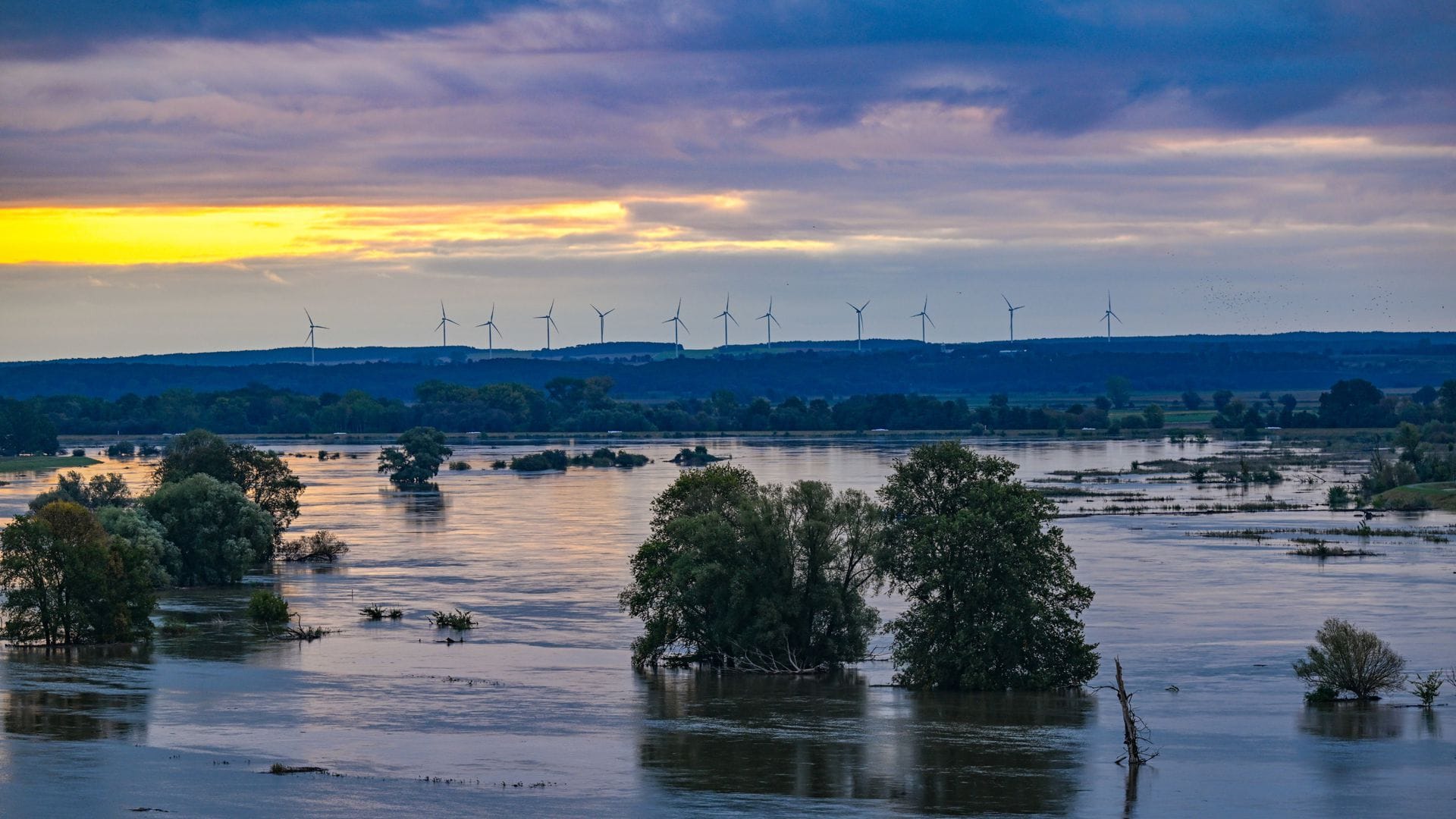 Das Hochwasserrisiko ist in vielen Bundesländern hoch – wie hier in Brandenburg 2024. (Symbolbild)