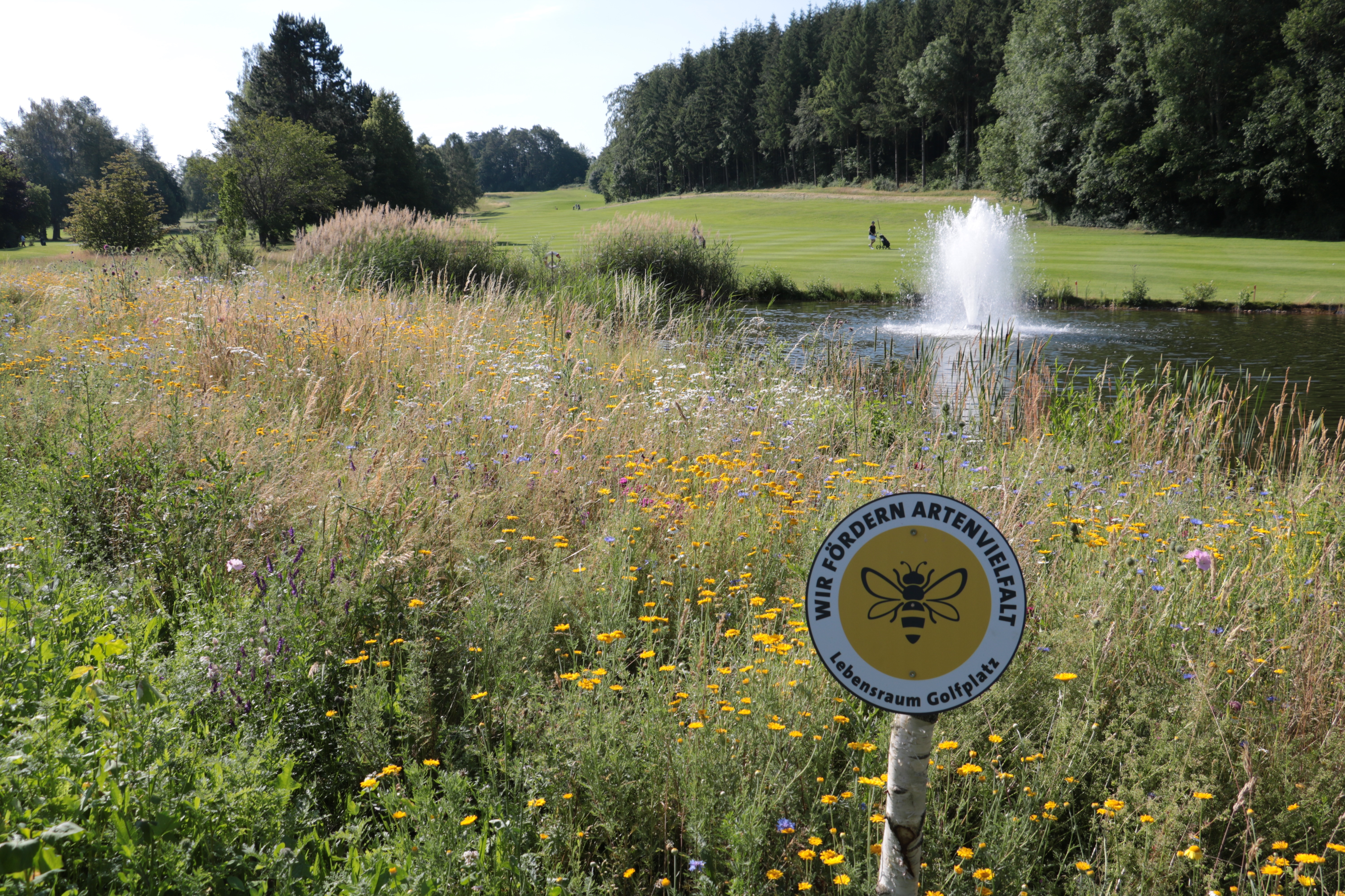 In 66 Golfclubs im Ländle kann sich die Natur in einigen bereichen ausbreiten.