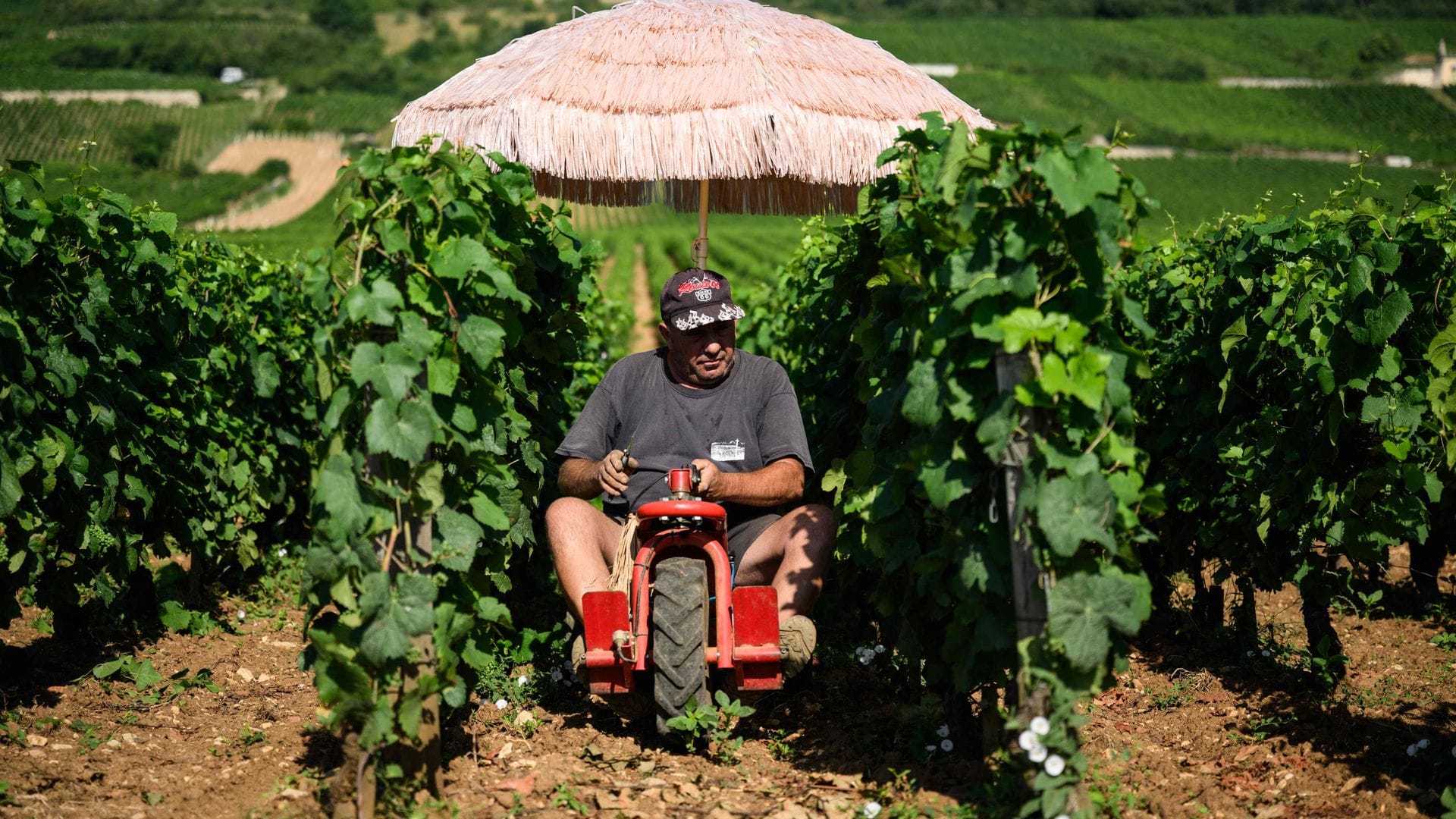 Neben Lieferdiensten und Bauarbeitern ist die Landwirtschaft besonders von Hitze betroffen. (Archivbild)