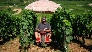 Neben Lieferdiensten und Bauarbeitern ist die Landwirtschaft besonders von Hitze betroffen. (Archivbild)