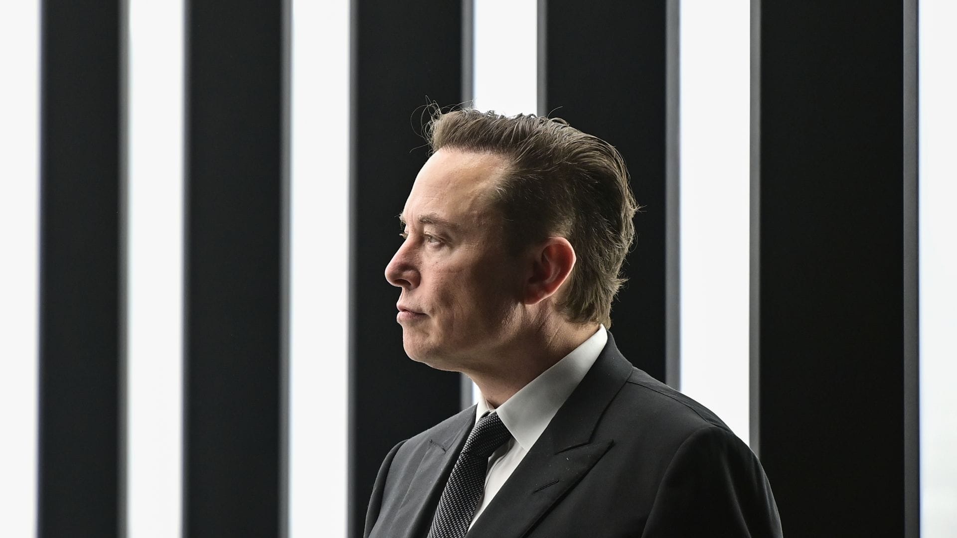 Firmenchef Elon Musk: Seit seinem politischen Engagement waren die Tesla-Verkäufe eingebrochen.