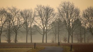 Sahara-Staub kommt auch in Deutschland an. (Archivbild)
