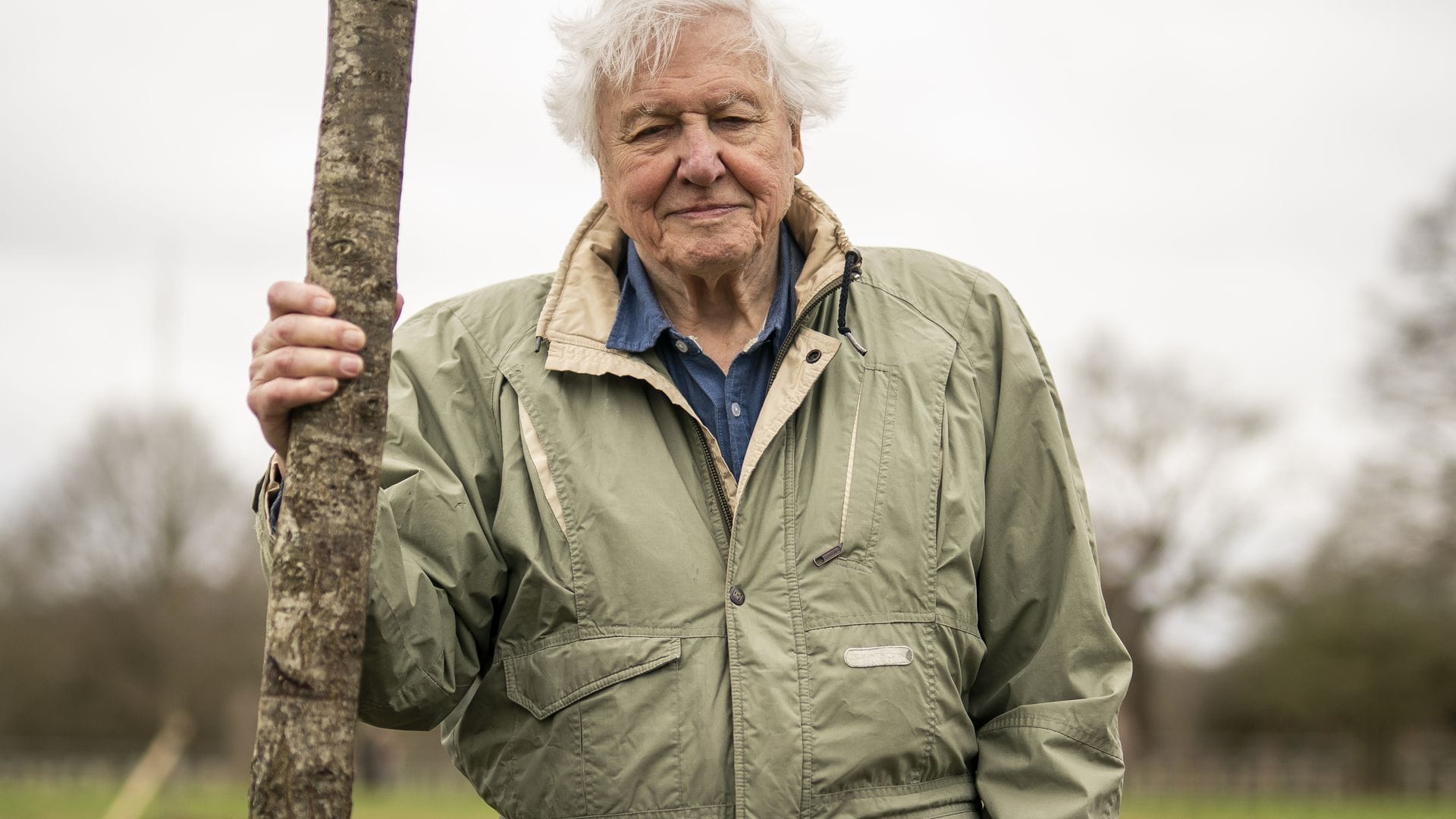 Der britische Naturforscher und Dokumentarfilmer David Attenborough feiert seinen 100. Geburtstag. (Archivbild)