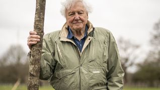 Der britische Naturforscher und Dokumentarfilmer David Attenborough feiert seinen 100. Geburtstag. (Archivbild)