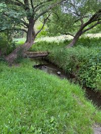 Sommer in den Sindelfinger Parks.