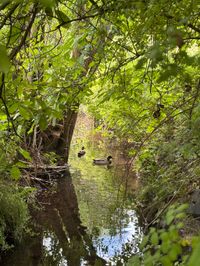 Sommer in den Sindelfinger Parks.
