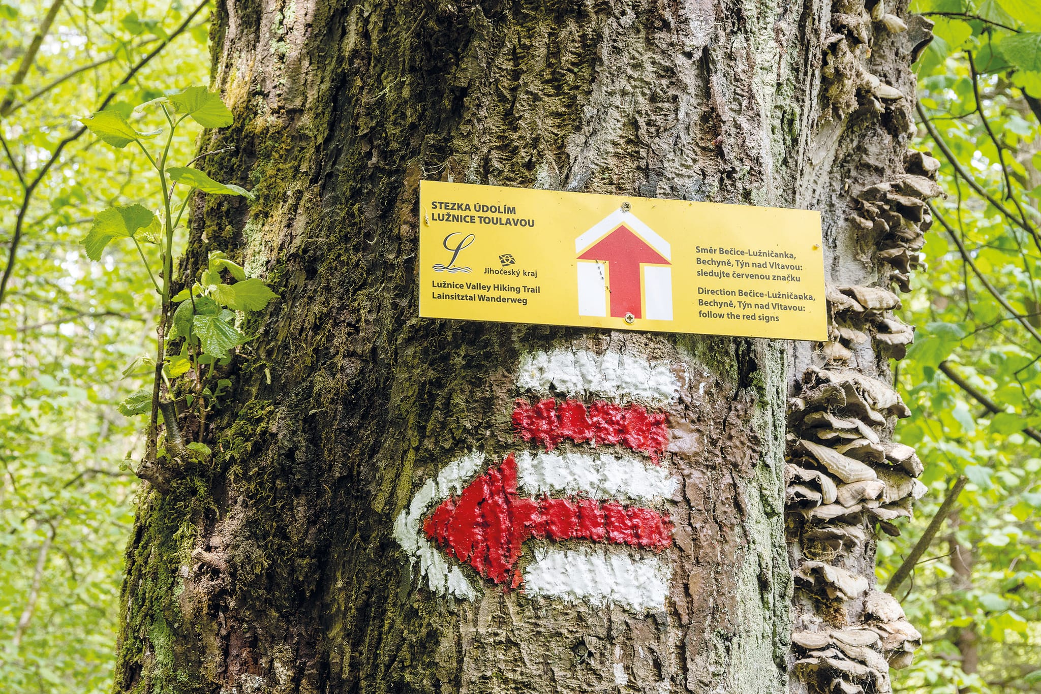 Der Fernwanderweg ist gut ausgeschildert und erleichtert so die Orientierung.