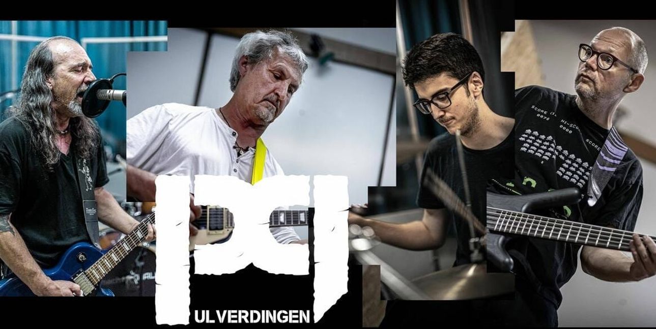 Die Band "Pulverdingen9" aus Vaihingen an der Enz.